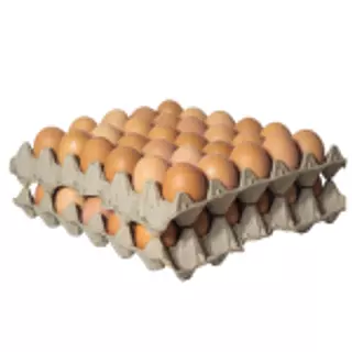 Cubetas De Huevos Aa