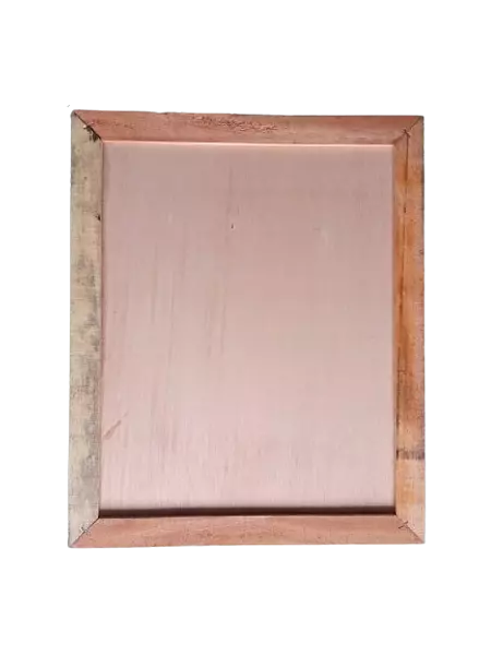 Tapa Interna O Subtapa