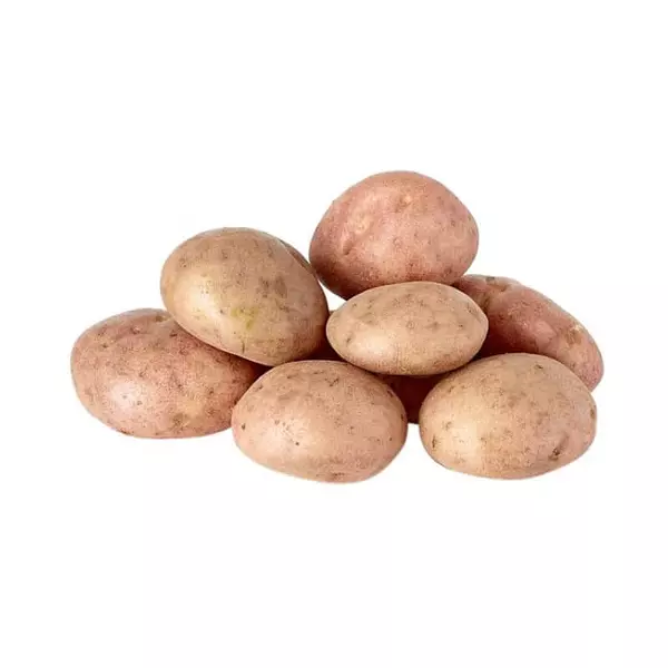 Papa Pastusa Lavada