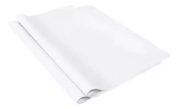 Papel Bond X Pliego 60gr