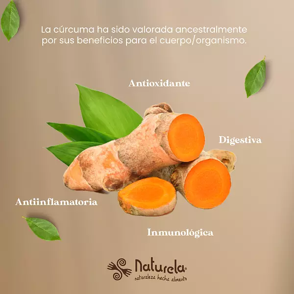Cápsulas Con Extracto De Cúrcuma Y Pimienta