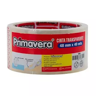 Cinta 48x40 Primavera