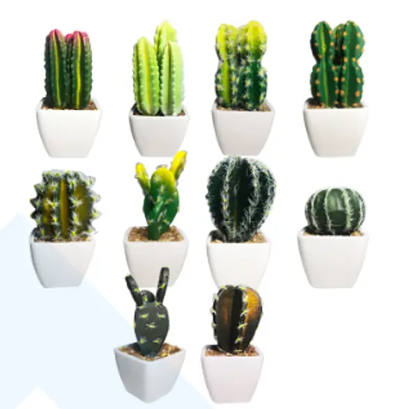 Matera Decorativa De Cactus