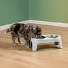 Comedero Alto Para Perro Pequeño | Ergonómico Y Resistente