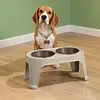 Comedero Alto Para Perro Mediano | Ergonómico Y Resistente
