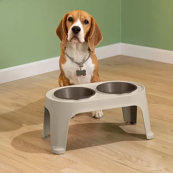 Comedero Alto Para Perro Mediano | Ergonómico Y Resistente