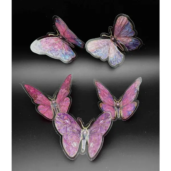 Mariposa Tornasol Con Detalles Fucsia