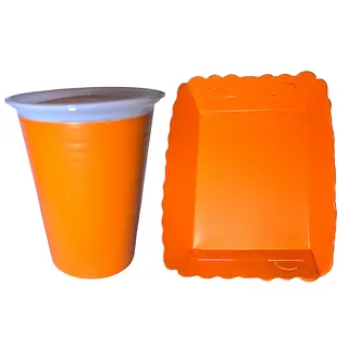 Platos Y Vasos Para Fiesta De Naranja Neon