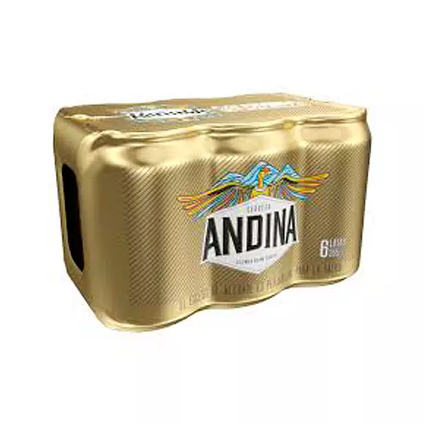 Cerveza Andina Six Pack