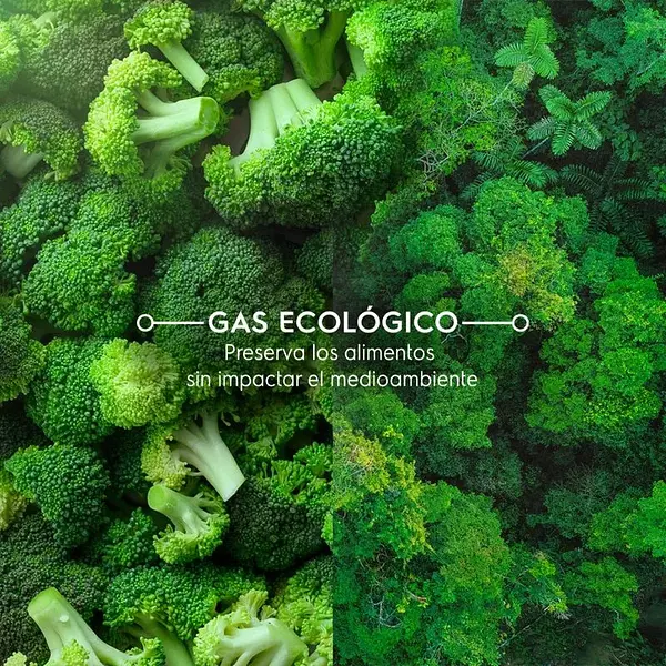 Nevera Electrolux 197l Inverter Silver Ert23f3c4as -No Frost