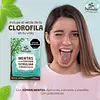 Mentas Sin Azúcar Con Cúrcuma - Spirulina - Prebióticos