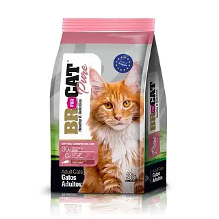 Br For Cat - Salmon