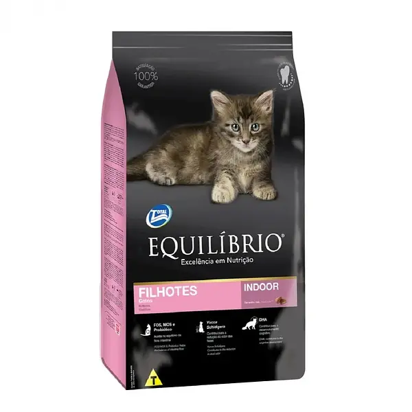 Equilibrio - Gato Filhotes