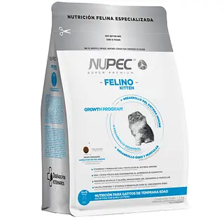 Nupec Felino - Kitten