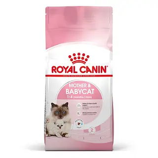 Royal Canin Madre Y Gato Bebé