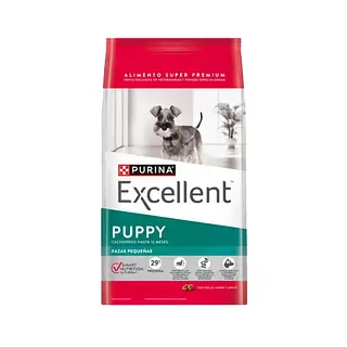 Excellent - Puppy - Raza Pequeña