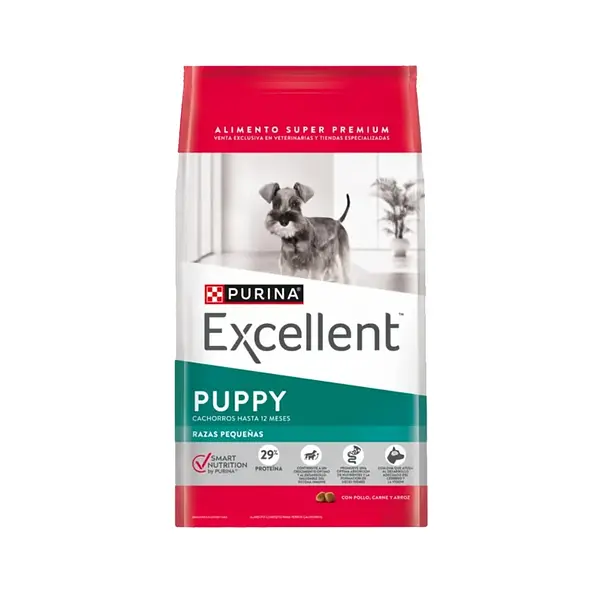 Excellent - Puppy - Raza Pequeña