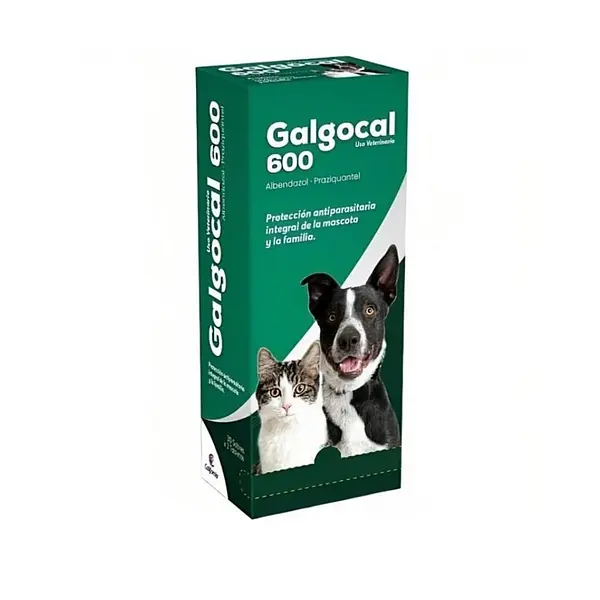 GALGOCAL 600 MG X2 TABLETAS