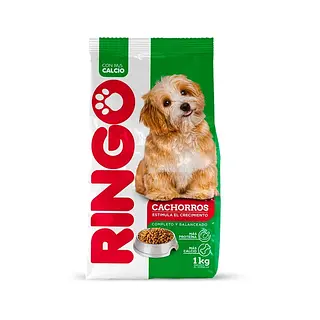 Ringo Cachorro