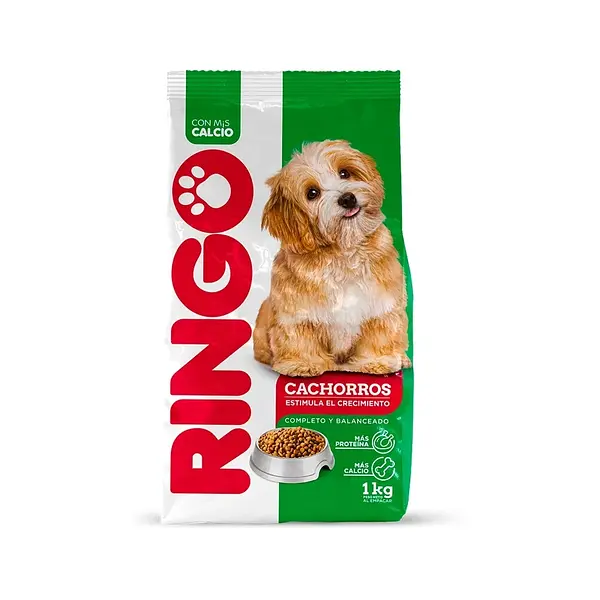 Ringo Cachorro