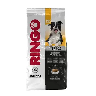 Ringo +Pro - Adulto