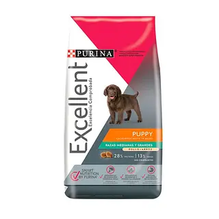Excellent - Puppy- Raza Mediana