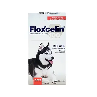 FLOXCELIN ORAL X 100 ML