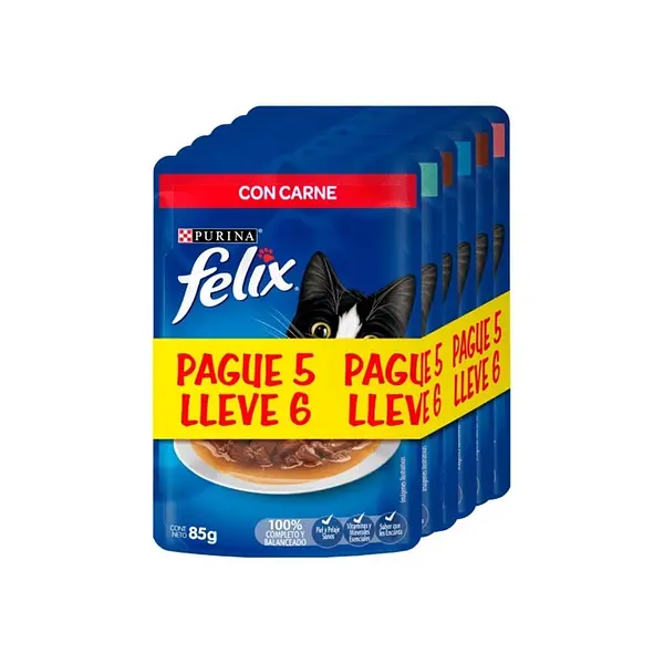 Felix Pouch Pag 5 Llev 6