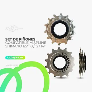 Set De Piñones Para Cassette Micro Spline/Shimano12v