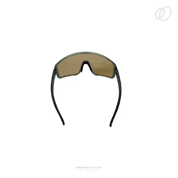 Gafa Itook Fotocromática Filtro Uv Sg300 400% Grey / Gold