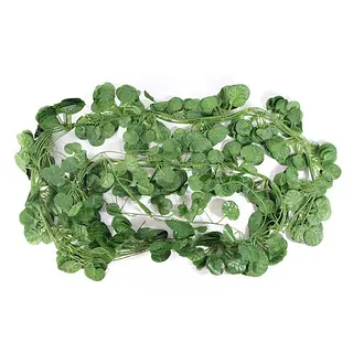 Plantas Colgantes Artificiales De 2mts Paquete X12