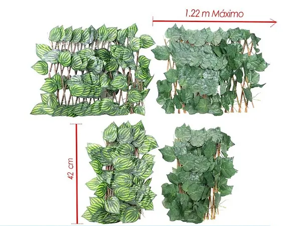 Cerca De Ramas Con Hojas Selvaticas