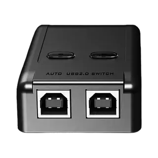 Switch 2 Port Usb Printer