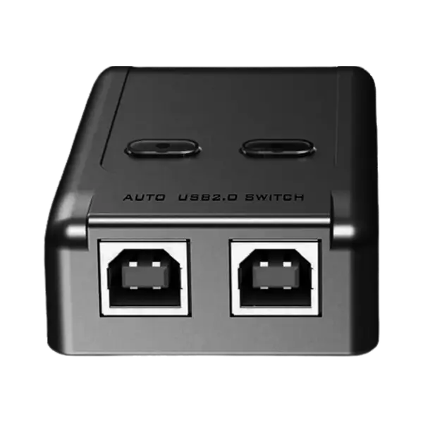 Switch 2 Port Usb Printer