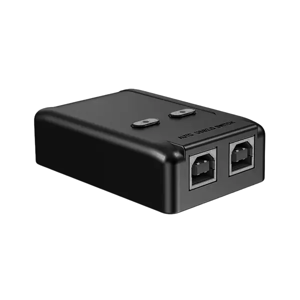 Switch 2 Port Usb Printer