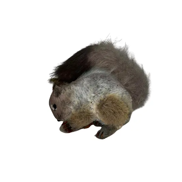 Ardilla Gris Navideña