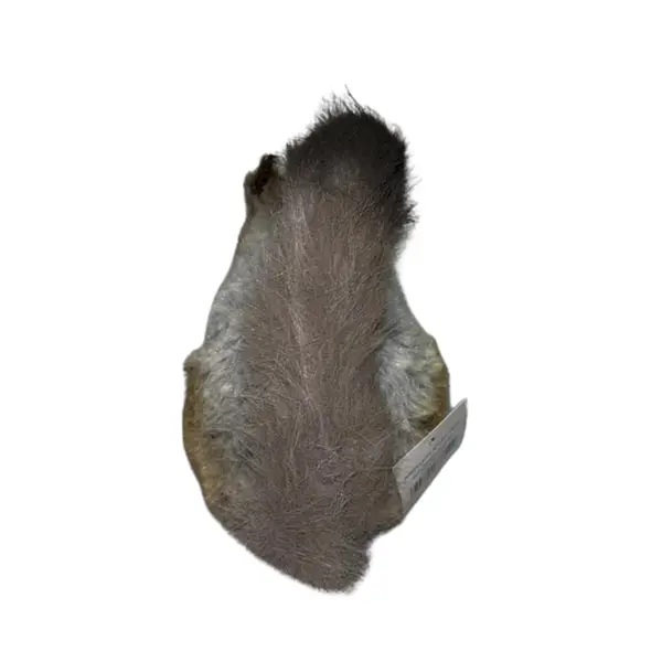 Ardilla Gris Navideña