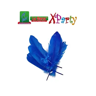 Plumas Stda Pqte X10