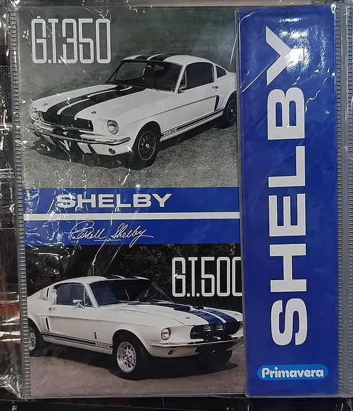 Folder 105 Carta Primavera