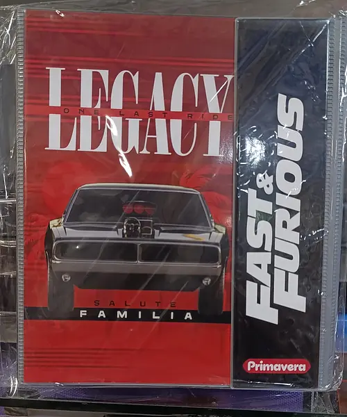 Folder 105 Carta Primavera