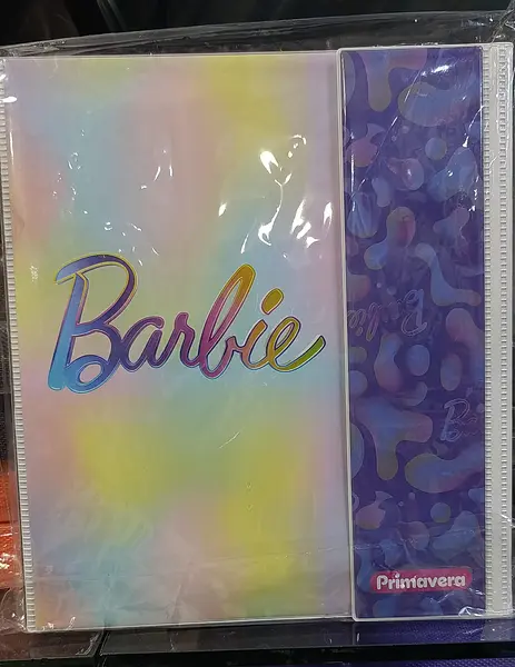 Folder 105 Carta Primavera