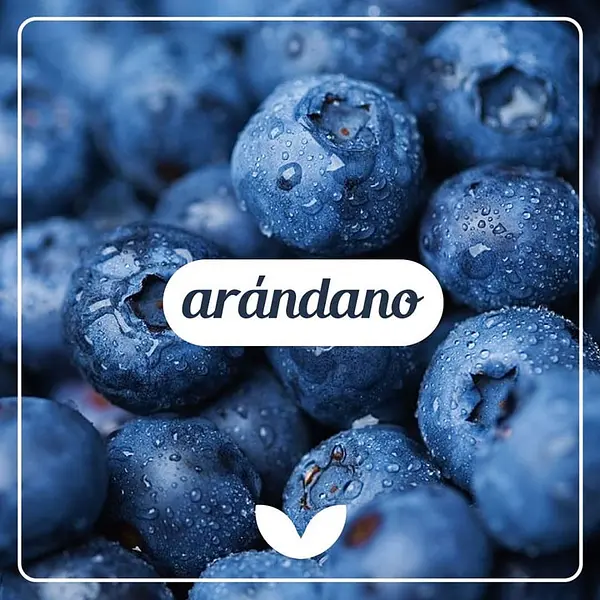 Los Arándanos no Pueden Faltar en tu Dieta