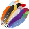 Plumas Stda Pqte 25