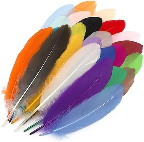 Plumas Stda Pqte 25
