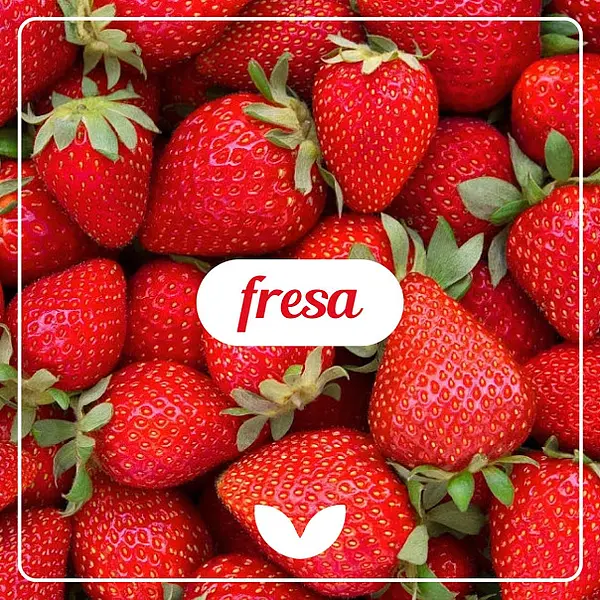 Para los Amantes de la Fresa 