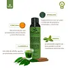 Kit Verde Vital