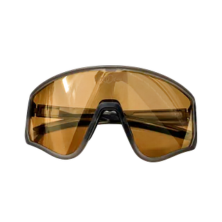 Gafa Itook Fotocromática Filtro Uv Sg300 400% Grey / Gold