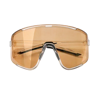 Gafa Fotocromatica Sg300 Transparente/Dorado