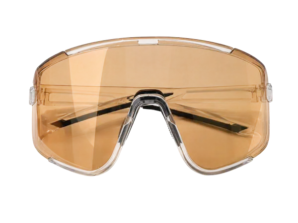 Gafa Fotocromatica Sg300 Transparente/Dorado