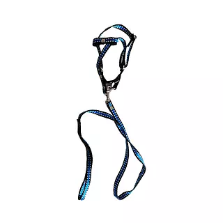 Pechera y Correa Talla Xs Negro, Azul y Blanco